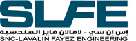 SLFE logo